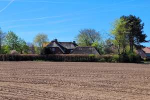 *Idyllisches Friesenhaus mit Weitblick* – Uasteranjstich 2, 25938 Nieblum – Vorschaubild 14