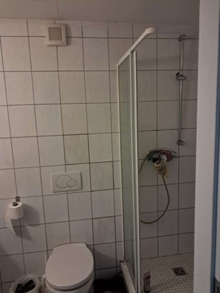 Immobilie in Rehlingen-Siersburg - *** Kleines 2-3 Familienhaus - komplett vermietet *** - Bild 4