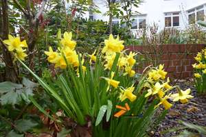 Property thumbnail 18