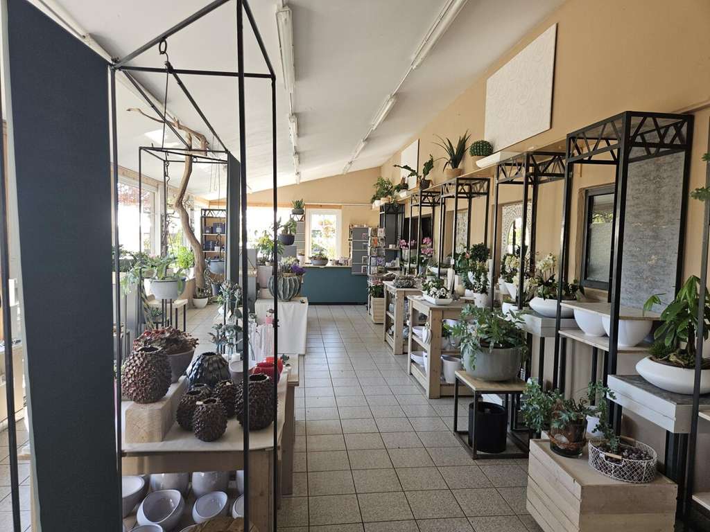 Immobilie in Meyn - Platz für Ihre Ideen! - Bild 3