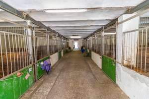 Idyllische Reitanlage mit Wohnhaus, Gästezimmern und Wirtschaftsgebäuden – Die vollständige Adresse der Immobilie erhältst du vom Anbieter., 27612 Loxstedt – Vorschaubild 21