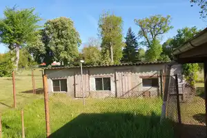 Natur pur – Einfamilienhaus mit großem Grundstück und Seenähe – Mecklenburg-Strelitz (Kreis) – Vorschaubild 27