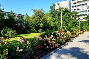 Property thumbnail 21