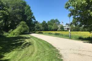 Bestlage Bogenhausen-Denning – München – Vorschaubild 9