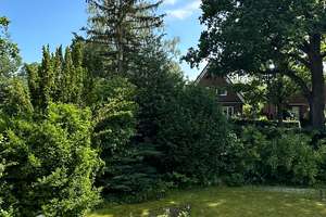 Alsterdorfer Gartenstadt, Rotklinker Kaffeemühle zu verkaufen! – Heilholtkamp 67, 22297 Alsterdorf, Hamburg – Vorschaubild 18