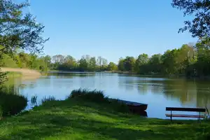 Natur pur – Einfamilienhaus mit großem Grundstück und Seenähe – Mecklenburg-Strelitz (Kreis) – Vorschaubild 30