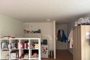 Offene Besichtigung 11.06.2026, 19 Uhr Helles  Einzimmerapt. , 28 qm (singleroomapt. 28 qm) – Langstr. 54, 68169 Neckarstadt-West, Mannheim – Vorschaubild 4