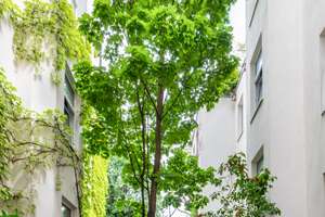 Helle Altbauwohnung mit großzügigem Raumgefühl und viel Potenzial – Die vollständige Adresse der Immobilie erhältst du vom Anbieter., 10179 Mitte (Ortsteil), Berlin – Vorschaubild 11