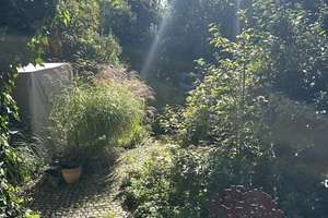 Gemütliche Doppelhaushälfte mit Traumgarten und Garage in Duisburg-Homberg – Die vollständige Adresse der Immobilie erhältst du vom Anbieter., 47198 Hochheide, Duisburg – Vorschaubild 26