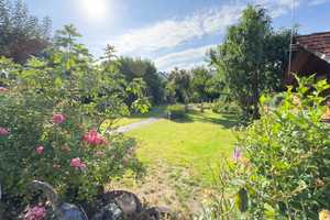 Traumobjekt in Toplage von Seligenstadt mit parkähnlichem Garten – Offenbach (Kreis) – Vorschaubild 13