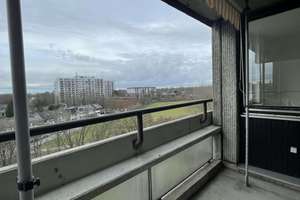 Erstbezug nach Sanierung  helle 2-Zimmer-Wohnung mit toller Aufteilung und Weitblick – Wevelinghover Straße 4, 40547 Lörick, Düsseldorf – Vorschaubild 11