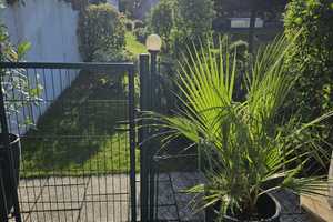 modernes Einfamilienhaus in bester Lage von Mahlsdorf-Süd – Berlin – Vorschaubild 26