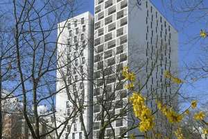 2 Zimmer suchen Nachmieter – Friedrich-Kayßler-Weg 1, 12353 Gropiusstadt, Berlin – Vorschaubild 2