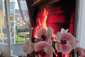 Property thumbnail 31