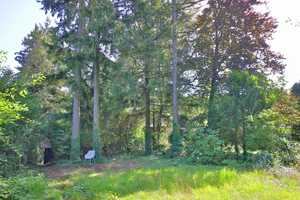 Zwischen Wald und Wiesen: Ihr Rückzugsort in Sternenfels – Enzkreis – Vorschaubild 4