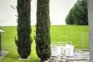 Schönes Haus im Bayerischen Wald! – Freyung-Grafenau (Kreis) – Vorschaubild 3