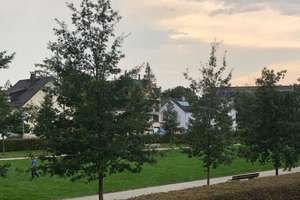 Property thumbnail 11