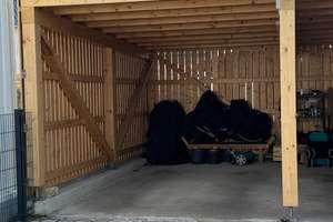 Modernes Reihenendhaus mit Photovoltaik, hochwertiger Ausstattung und sonnigem Garten in Schwandorf! – Die vollständige Adresse der Immobilie erhältst du vom Anbieter., 92421 Schwandorf – Vorschaubild 17