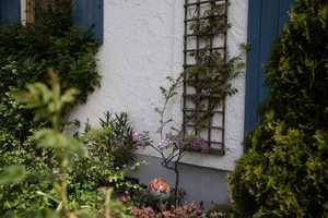 Großzügiges Wohlfühl-Haus mit wunderschönem Gartenidyll in Probstried – Oberallgäu (Kreis) – Vorschaubild 50