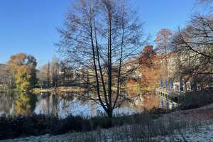 Property thumbnail 19