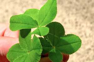 Property thumbnail 44