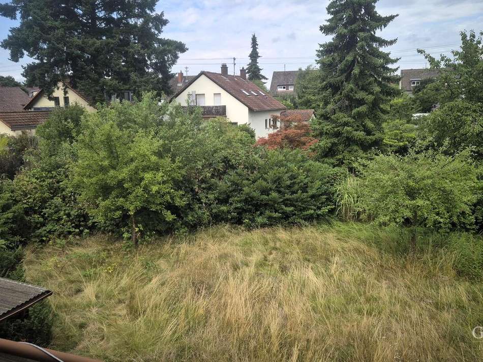 Garten hinten