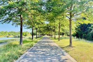 Property thumbnail 24