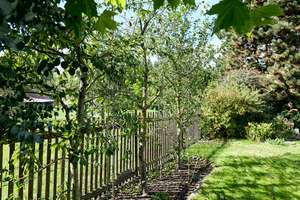Exklusives Eigenheim mit zwei Wohnungen, Kaminen, Wintergarten, Sauna & liebevoll angelegtem Garten – 4683 Naunhof – Vorschaubild 80