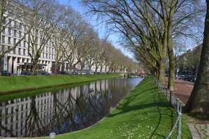 Property thumbnail 13