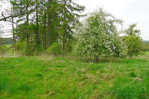 Doppelbungalow, Weideland, Stallung – Untersteinbach 1, 51429 Asselborn, Bergisch Gladbach – Vorschaubild 12