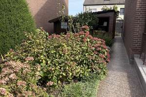 Property thumbnail 23