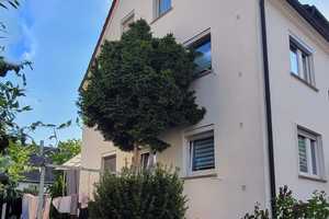 Vermietetes 3-Familienhaus in ruhiger Lage – Bissinger Str. 9, 70435 Stuttgart – Vorschaubild 10