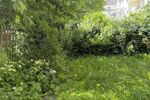 Bad Wilhelmshöhe / Alt Wahlershausen Sonnige und freie Dachgeschosswohnung mit Balkon und Carport in – Die vollständige Adresse der Immobilie erhältst du vom Anbieter., 34131 Bad Wilhelmshöhe, Kassel – Vorschaubild 14