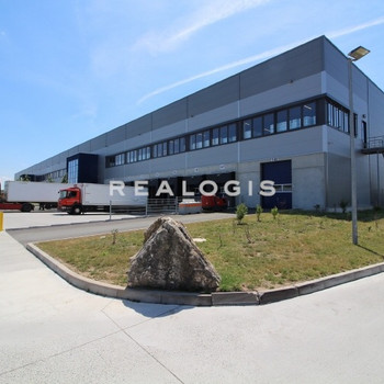 Flexible Anmietung | Neubau: bis zu ca. 30.000 qm | Rampe + ebenerdig | 10,50 m UKB!