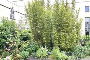 Property thumbnail 17