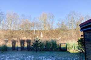 Doppelhaushälfte mit Carport – Ostholstein (Kreis) – Vorschaubild 5