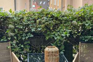 Property thumbnail 13