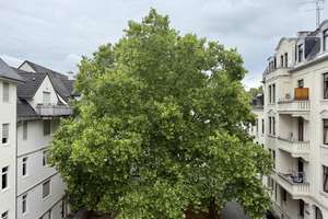 2 Zimmer in Toplage nähe Taunusstrasse und Neropark  – Kellerstrasse 9, 65185 Mitte, Wiesbaden – Vorschaubild 22