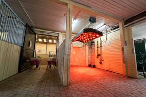 Moderne Reitanlage mit attraktivem Wohnhaus! – Die vollständige Adresse der Immobilie erhältst du vom Anbieter., 55271 Stadecken-Elsheim – Vorschaubild 18
