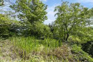 Property thumbnail 19