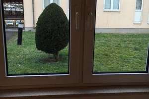 Studenten aufgepasst! Appartement in zentraler Wohnanlage – Güterstraße 53, App. 327, 54295 Kürenz, Trier – Vorschaubild 7