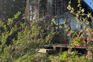 Wohnen im Grünen nahe Fünfseenland – Großzügiges 1–2 Familienhaus plus ELW & traumhaftem Garten – Die vollständige Adresse der Immobilie erhältst du vom Anbieter., 86929 Penzing – Vorschaubild 2