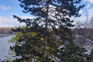 Property thumbnail 16