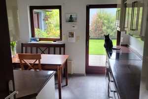Einfamilienhaus auf schönem Grundstück in ruhiger Lage von Erkner bei Berlin – Oder-Spree (Kreis) – Vorschaubild 8