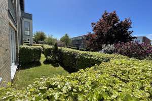 schöne Gartenwohnung mit vielen Vorteilen – Kakenbarch -, 23570 Travemünde, Lübeck – Vorschaubild 12