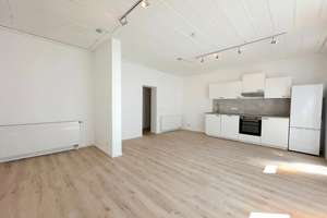 🏠 Moderne frisch sanierte 2-Zi-Wohnung mit offener Wohnküche und neuer EBK – MA-Waldhof
