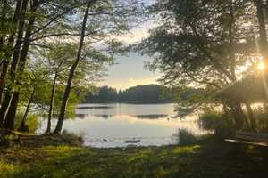 Property thumbnail 24