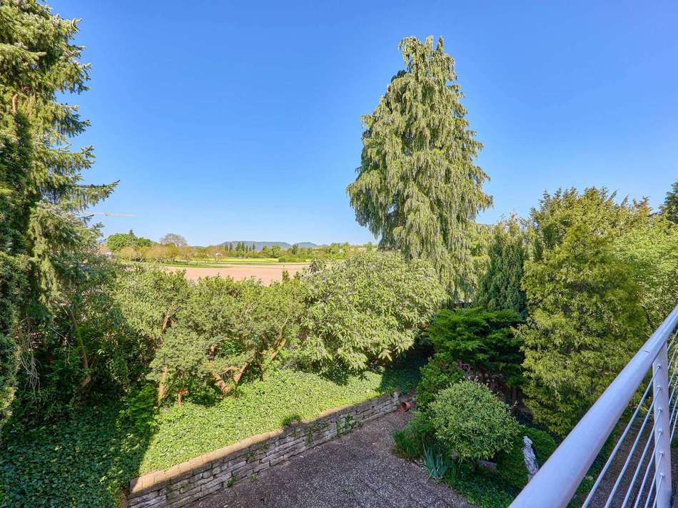 Ausblick Terrasse