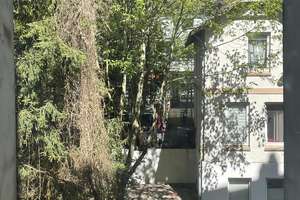 sonnige Altbauperle | Balkon | Stuck |  provisionsfrei – Die vollständige Adresse der Immobilie erhältst du vom Anbieter., 22111 Billstedt, Hamburg – Vorschaubild 11