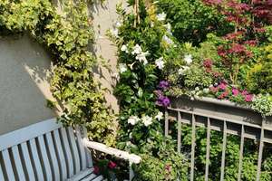 Property thumbnail 42